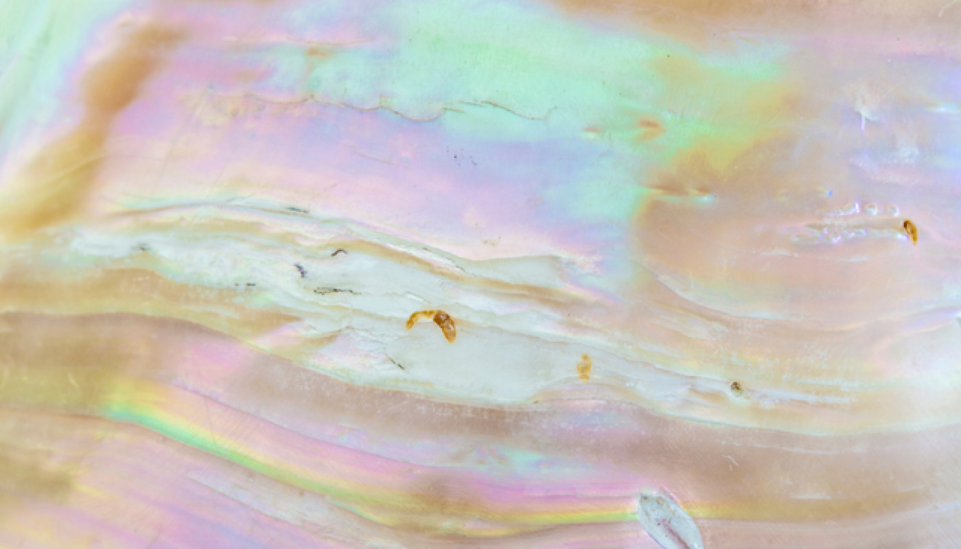 Quels sont les effets secondaires de la pure nacre ?